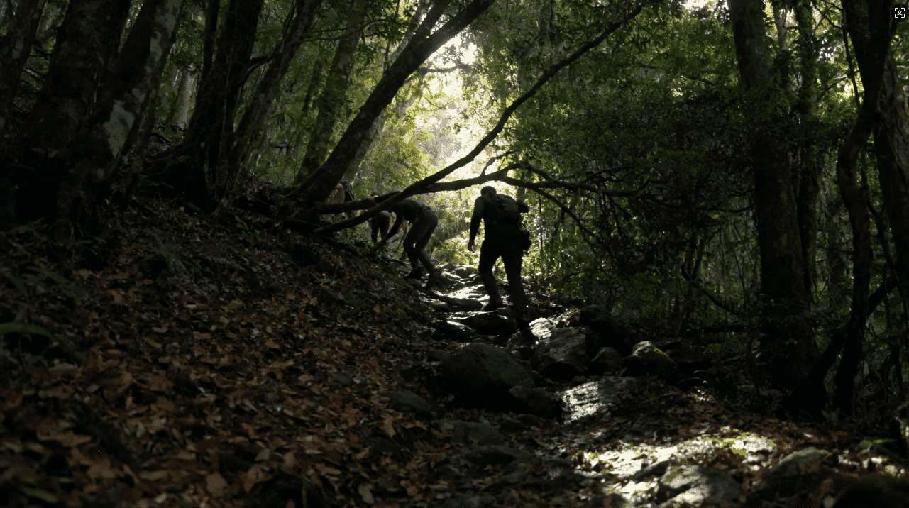 免费佛跳墙加速器会员激活全流程详细攻略指南